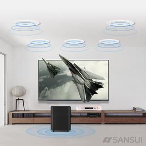 Sansui/山水 T2吸顶式5.1家庭影院音响套装电视家用客厅吊顶音箱