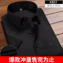 Spring White Shirt Men's Long Sleeve Korean Style Slim Solid Casual Black Short Sleeve Shirt Business Career Clothes