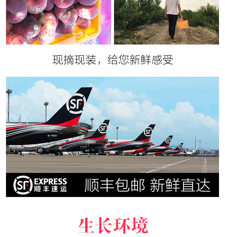 现摘现装,给您新鲜感受顺丰包邮新鲜直达生长环境-推好价 | 品质生活 精选好价