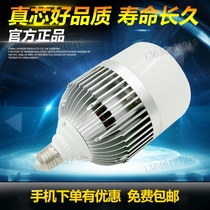 led light bulb ball bubble e27 screw mouth light source ultra bright 30W50W80W100W high power energy-saving factory lamp