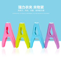 Creative small department store 30-pack plastic clip drying hanger Bra underwear socks lanyard storage basket