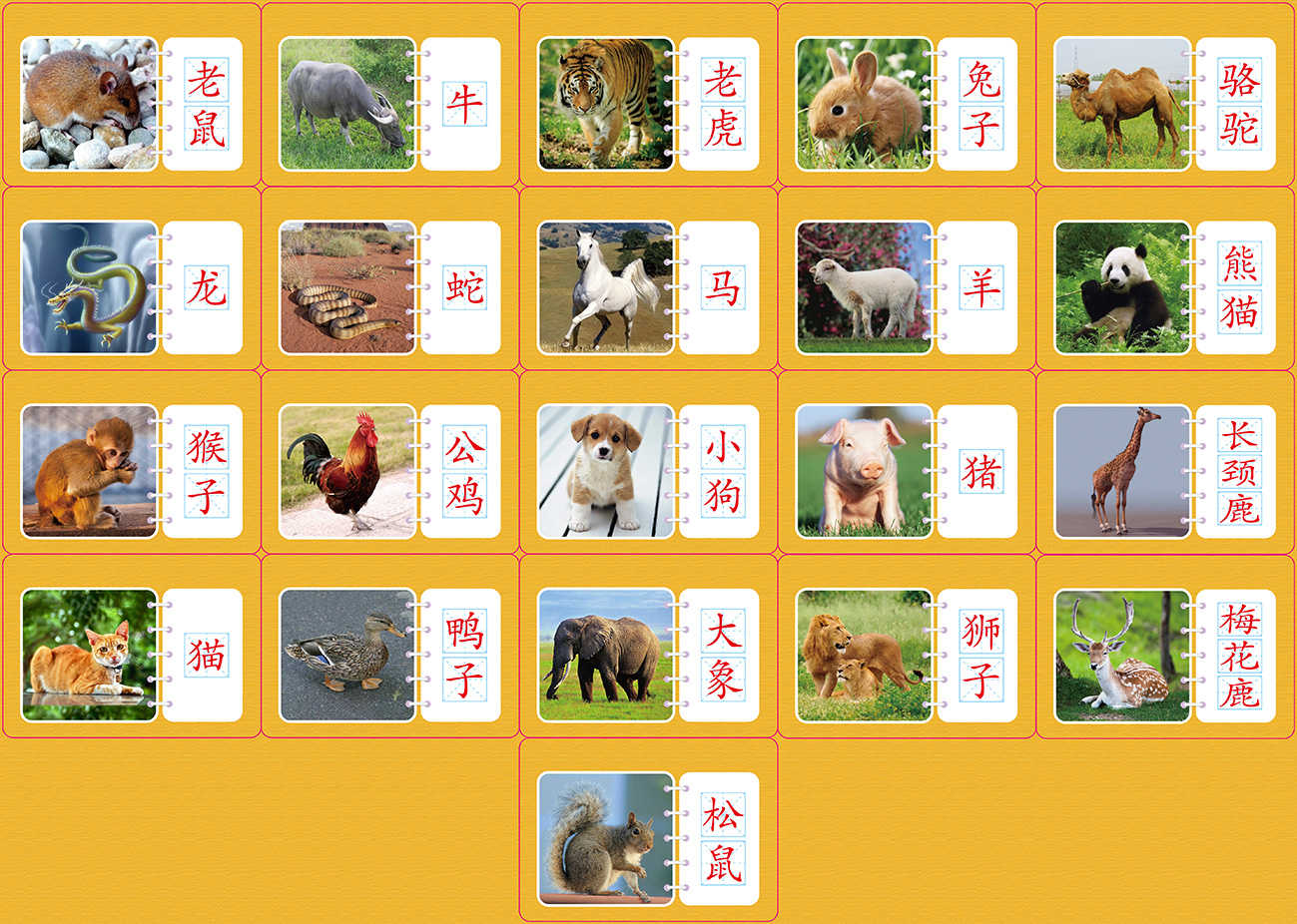 儿童圈装看图识字卡片 宝宝启蒙认字小动物日常生活防水卡片