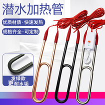 Diving heating swimming pool heating pipe directly into stainless steel plug-in water tank electric heating pipe hot fast 220V