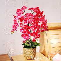 Plastic fake flower Phalaenopsis potted set simulation flower forever flower fake flower fake flower home coffee table desk decoration gift