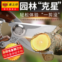 Eagles printed landscaped garden Gardening Scissors Flowers Branches Prunes branches Scissors Fruit Branches Cut of flowers prunes Labor-saving Clippers