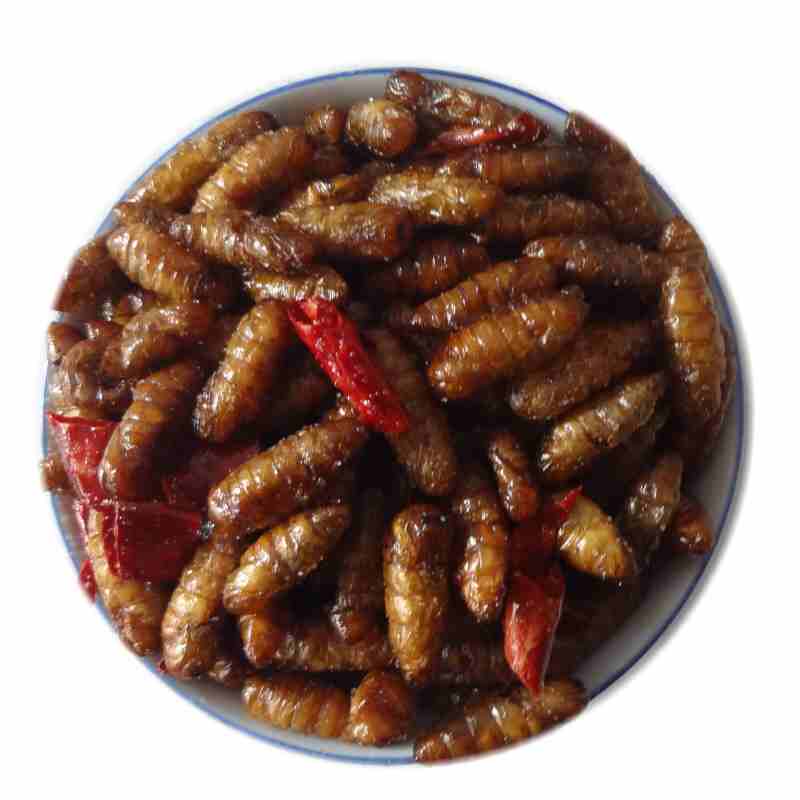 山东沂蒙特产蚕宝宝香辣油炸鲜蚕蛹新鲜高蛋白美容食品现做发货