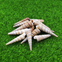 Ant love natural conch shell micro landscape decoration