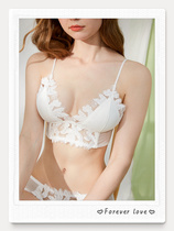 French Sexy Triangle Cup Lace Womens Underwear Embroidered Large Chest Small Thin Bra Set bralette
