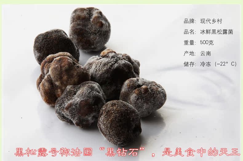 云南特产现代乡村野生黑松露菌 猪拱菌新鲜速冻黑松露3cm食用菌菇