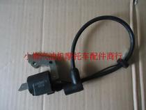 Petrol Dynamo Accessories High Pressure Bag Robin EY20 167 High pressure Pack RGX2400 Igniter