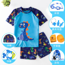 Childrens swimsuit boy split middle and big boy baby boy baby student sunscreen dinosaur swimming trunks set