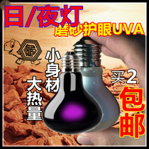 50 100W tortoise crawling pet back uva day night light chameleon reptile box with heated hot bath New