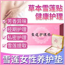 Snow lotus paste safflower female private private care cotton conditioning maintenance antibacterial gynecological pad 6 pieces