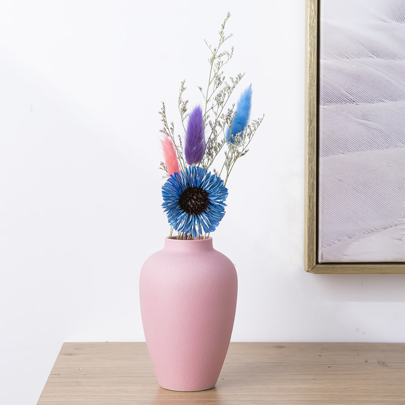 Northern wind ins floret bottle of dry flower adornment is placed in the sitting room TV cabinet table arranging flowers ceramic home decorations
