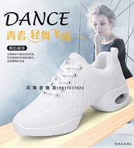 Ji Meiping modern jazz dance shoes soft bottom mesh spring and autumn green performance Square sailor dance shoes new promotion