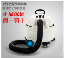 Chunzhou E22-2300 Water Blower Pet Double Motor Large Dog Special Hair Blowing Artifact Dog Water Blower