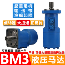 Hydraulic motor BM3-400 160 200 250 315 Crane hoist low speed high torque oil motor