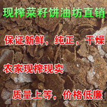 Rapeseed oil dry cake farm fresh rapeseed cake fishing bait Special fragrant rapeseed cake fertilizer vegetable flower fertilizer