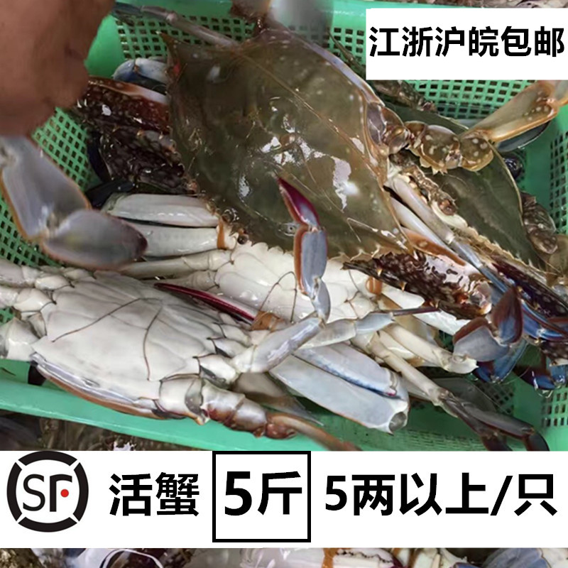 梭子蟹鲜活舟山特产野生 大白蟹新海螃蟹水产海鲜 5斤装 顺丰免邮