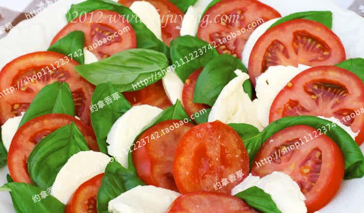 罗勒种子 春播种子 食用香草 阳台植物 香料植物 约拿香草 香料