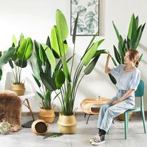Simulation plant fake green plant potted decoration Nordic ins large traveler banana indoor living room home decoration