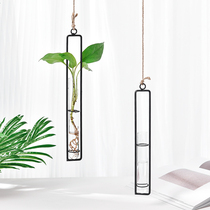 ins creative home decoration hydroponic plant glass bottle hanging wall-mounted small vase Glass transparent mini hanging bottle
