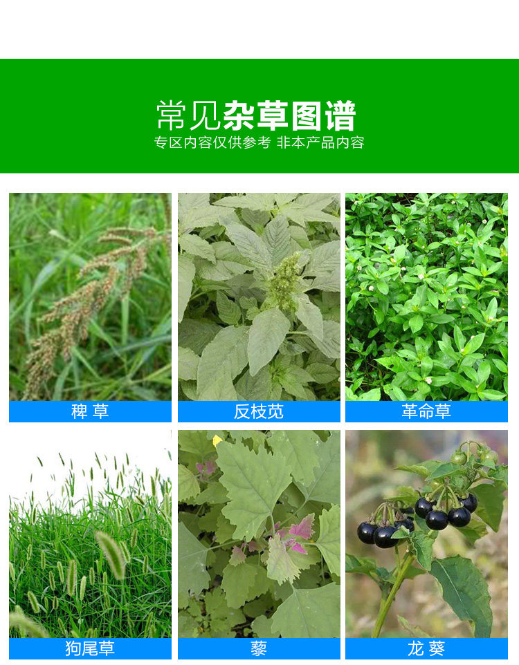 Limoto Cao Ganyu 5 кг детали New_09.jpg