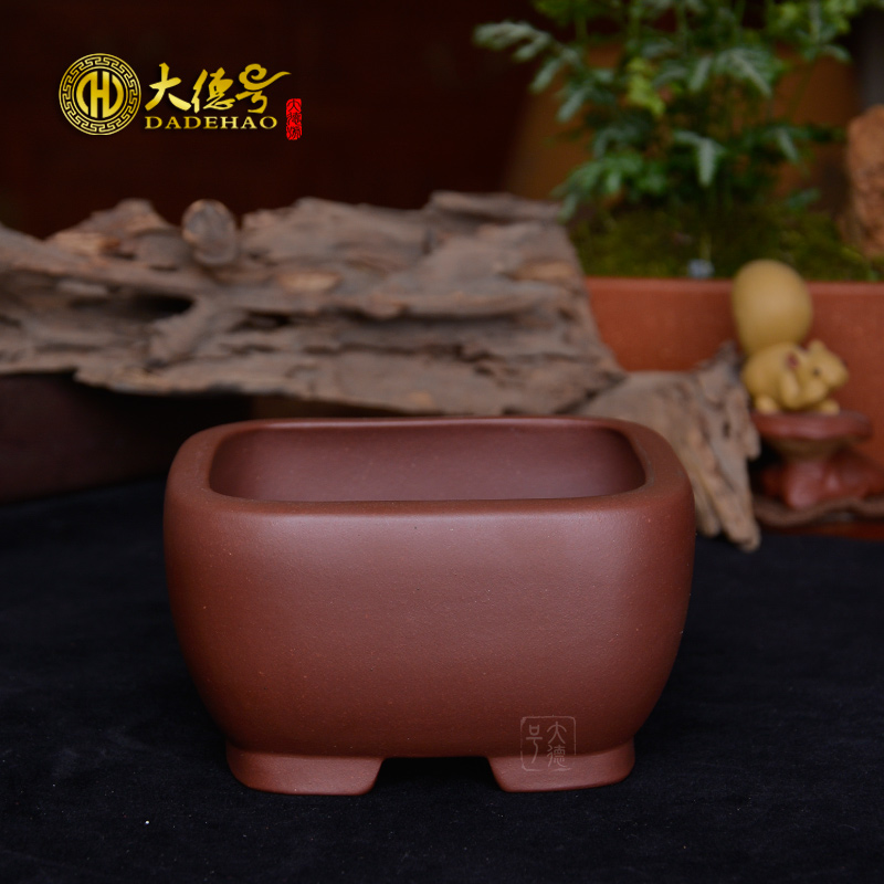 Purple sand flowerpot boutique small bonsai pot yixing Purple clay rounded square basin calamus fleshy flower pot flowers, green plant