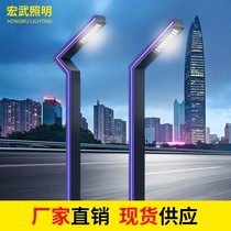 View light Outdoor waterproof led street lamp 3 m ultra bright garden villa area road square aluminium profile courtyard lamp