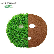 10-piece seaweed mask Silk collagen small particles germinate seaweed free beauty salon available for pregnant women