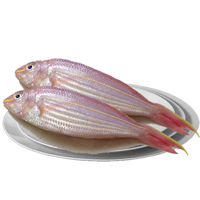 湛江特产金丝鱼