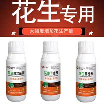 Flowers for production of three times to give birth to needle anti-senescence guo da fruit white grain half filled with peanut peng da su