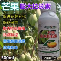 Mango expansion and elongation to promote flower bud differentiation flower and fruit protection disease resistance drought resistance sweetening coloring fullness foliar fertilizer
