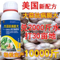 Allic high-yield garlic foliar fertilizer anti-dry tip yellow leaf garlic swelling agent garlic thick and straight long imported