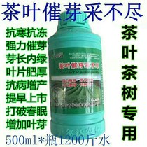 Tea Tree special foliar fertilizer germinating agent oxysporin buds buds buds buds buds buds increased by 500 grams of 1000 grams (