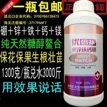 Premium boron zinc iron calcium magnesium trace elements organic sugar alcohol strawberry fruit tree grape citrus foliar fertilizer