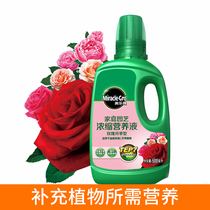 Melody family gardening nutrient solution liquid fertilizer fertilizer rose rose rose type