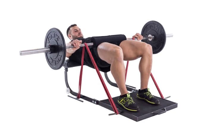 Glute Trainer Matrix