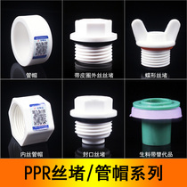 With leather ring wire plug pipe cap hexagon sealing butterfly wire plug 4 minutes 20 6 minutes 25 raw material with ppr water pipe fittings