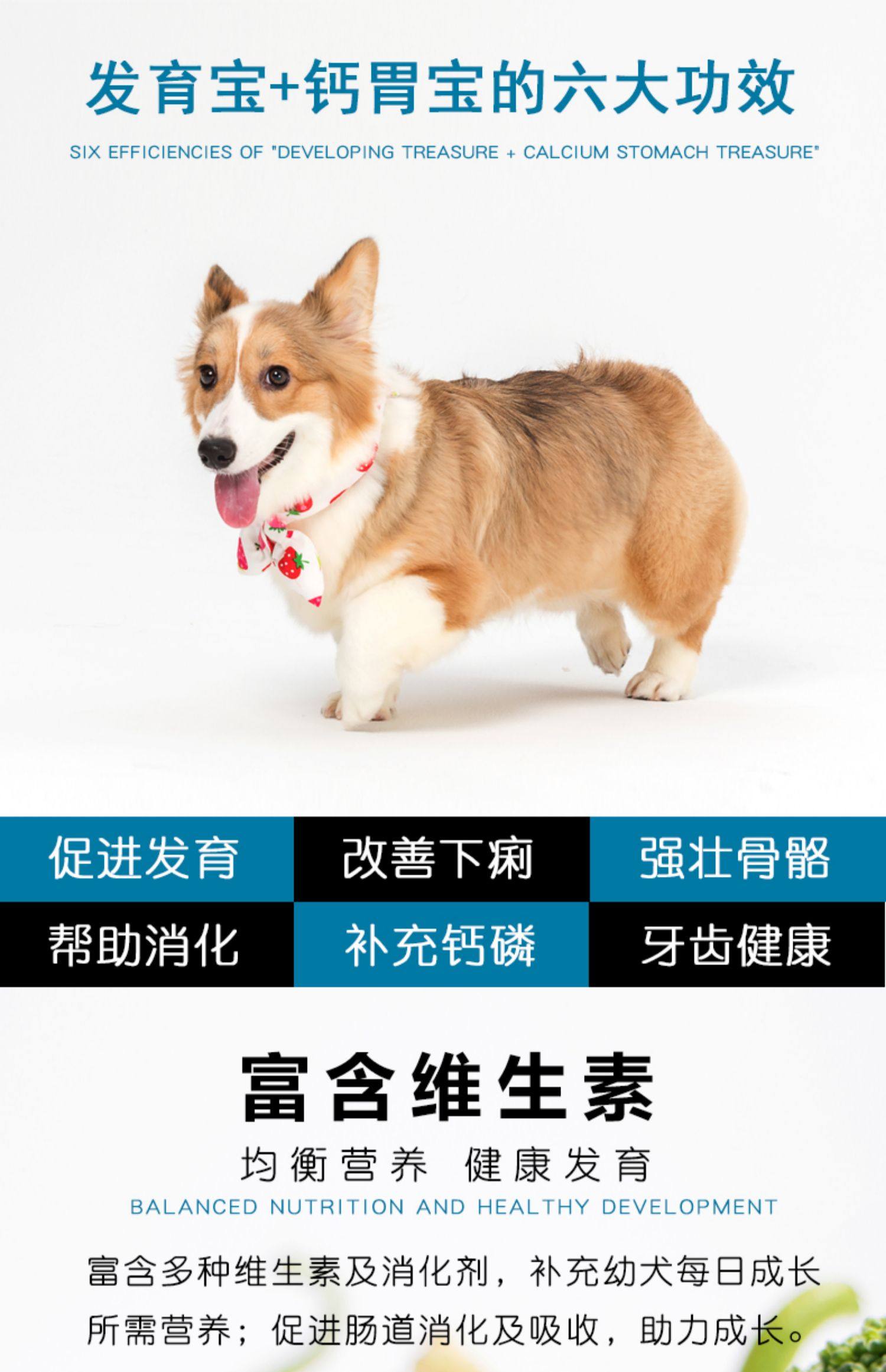 信元发育宝钙胃能套装幼犬成长调理肠胃宠物用品狗狗补钙粉维生素_券