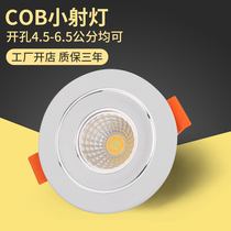 LED small spot light hole 4 5566 5cm mini wine cabinet wardrobe showcase light small caliber downlight hole