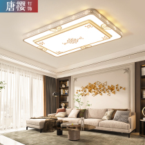 Living room lamp minimalist modern light and luxurious ultra-thin new suction light led rectangular headlamps Home lamps