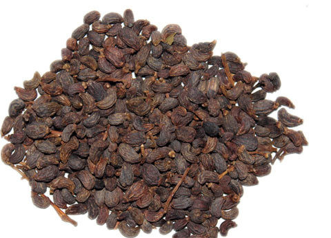 女贞子6斤包邮 女贞实 冬青子 鼠梓子 中药材供应 500克4.5元