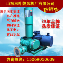 125 type three-leaf roots blower aerobic fan aerobic fan 11KW positive pressure negative pressure aerobic machine air pump