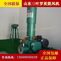 Sewage treatment three-leaf Roots blower three-leaf Roots aerator nano-microporous aeration aerating pump 3KW