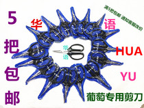 Grape Hugo scissors ming zuan pu tao jian trim fruits and vegetables fruit potted flower repair fruit branch scissors xi guo jian knife