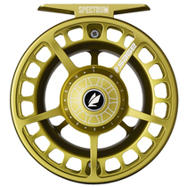 American Sage SPECTRUM light seawater fishing fishing fishing wheel flying wheel fishing