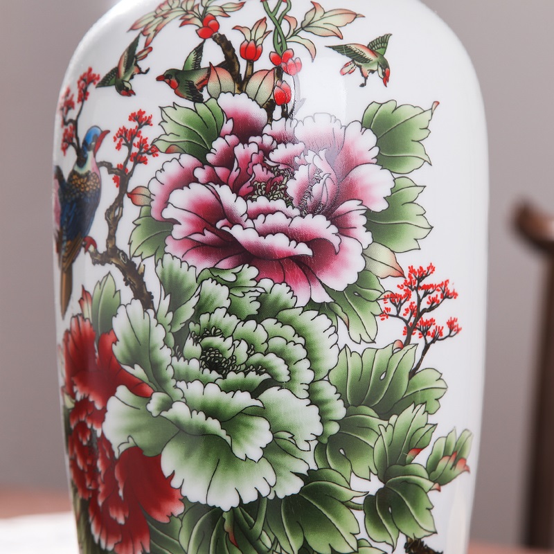 Jingdezhen ceramic vases, flower receptacle contracted TV ark, furnishing articles lucky bamboo hydroponic packages mailed home decoration arts and crafts