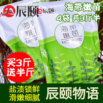 Chenyis words kelp tender seedlings Fujian Xiapu specialty cold soup without sand kelp buy 3kg to send half a catty