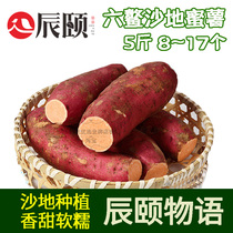 Chenyis monastic Liuao honey potato 5kg Fujian sandy red sweet potato fresh sweet potato now picked up about 17